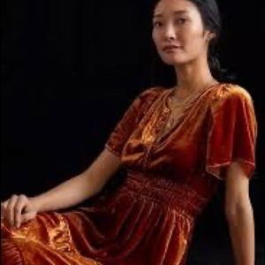 Anthropology Velvet Somerset Maxi Dress